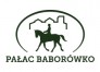 Pałac Baborówko